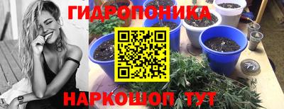 стаф Туймазы