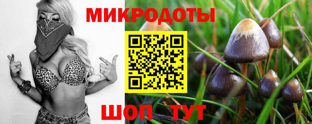 Галлюциногенные грибы ЛСД  Вход с VPN  сколько стоит  Богданович 